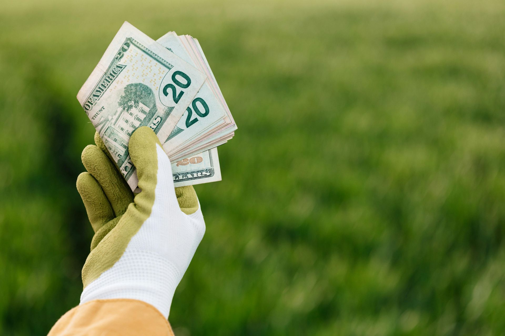 Hand wearing a glove holding a stack of $20 bills in front of green grass.