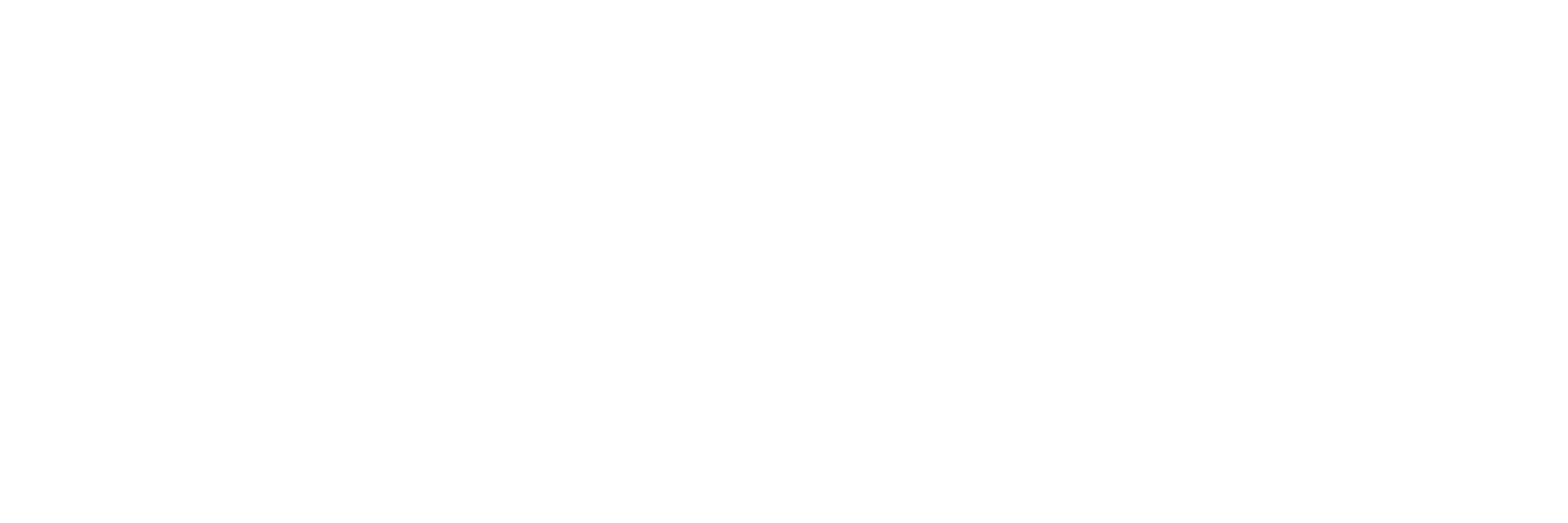 Company Logo - Footer