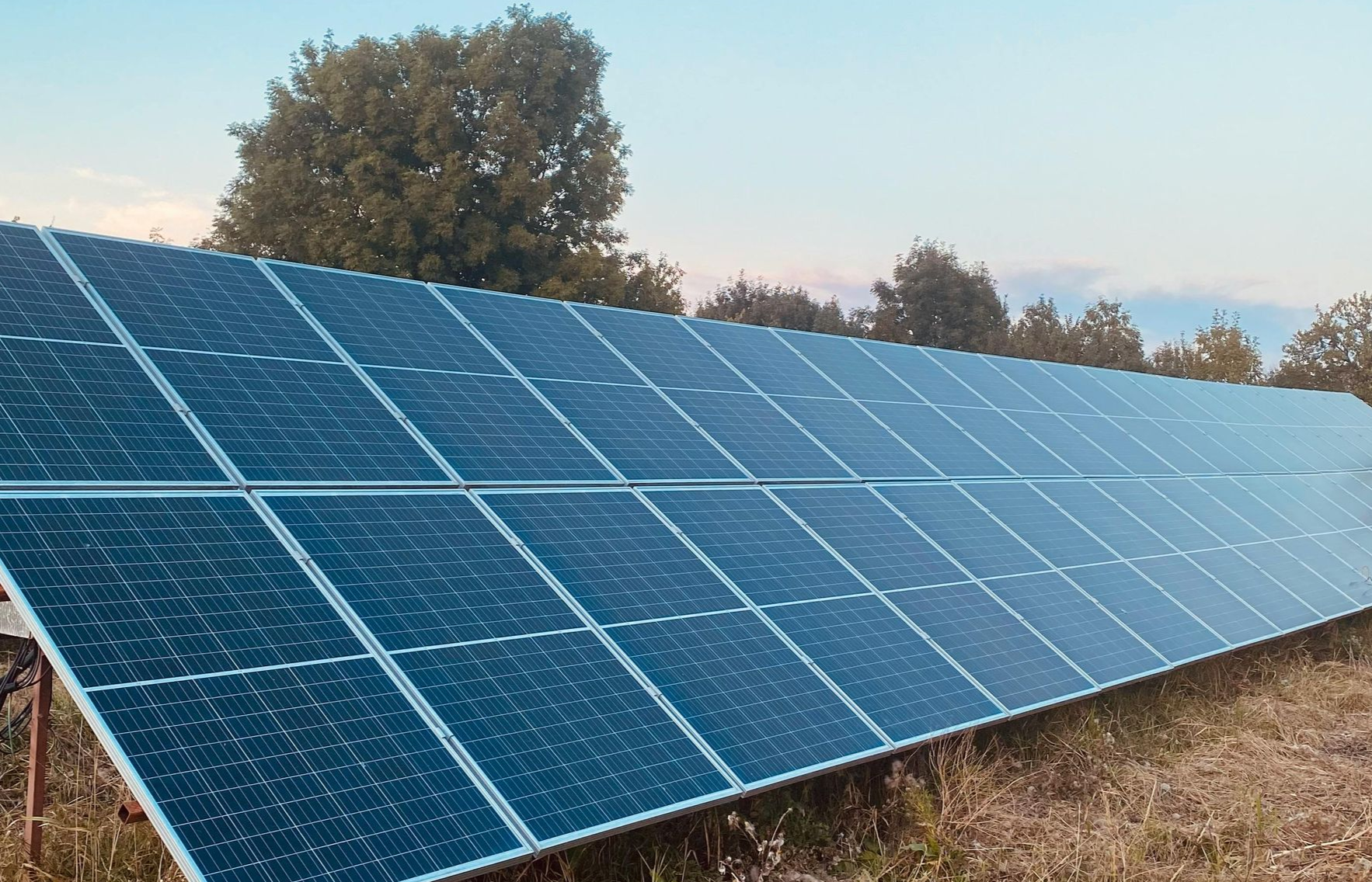 A long row of dark blue solar panels set in a grassy field against a backdrop of trees at sunset.