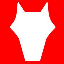Electrical Logo | New Port Richey, FL | Fox Electrical Services