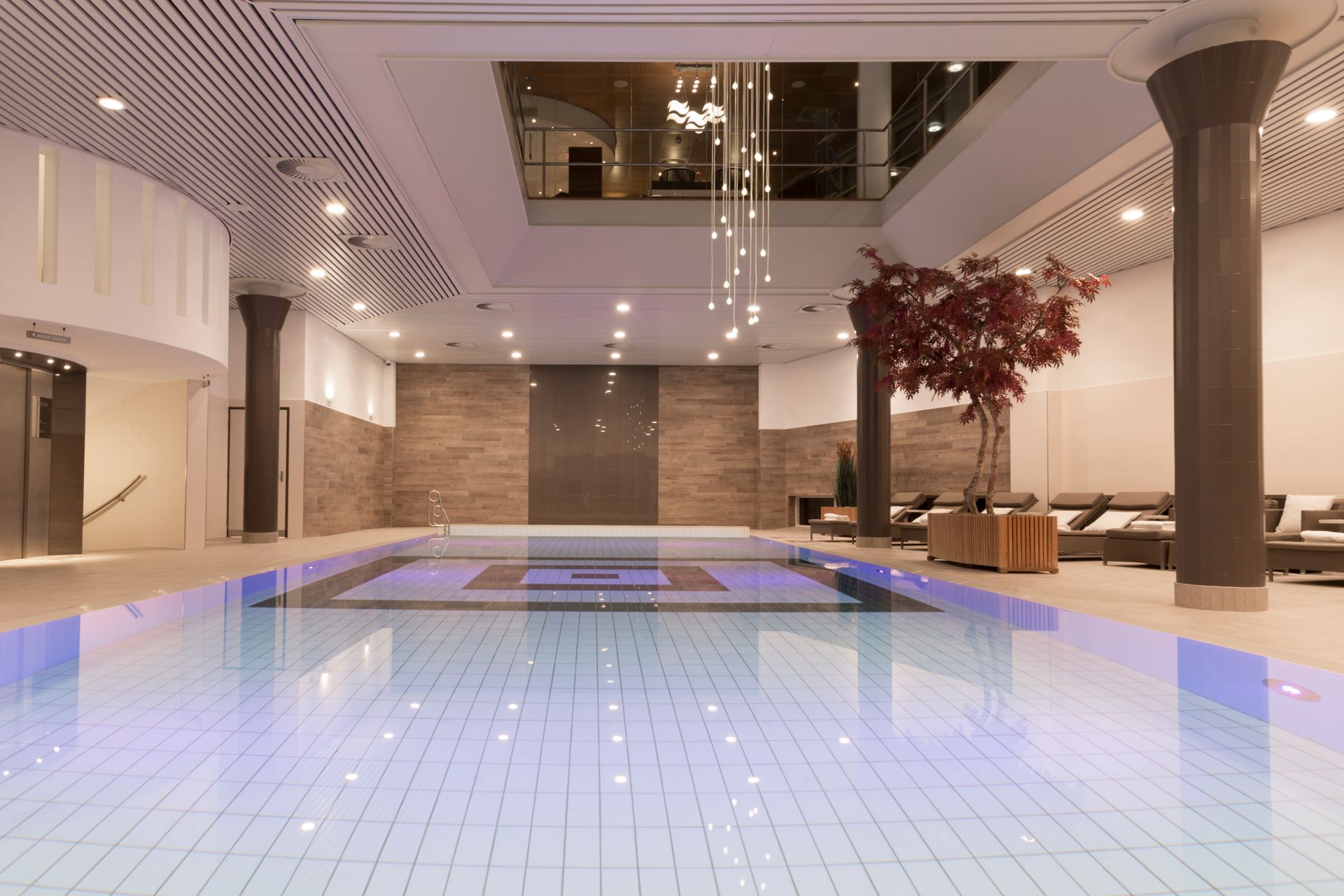 A large indoor swimming pool with a tree in the middle