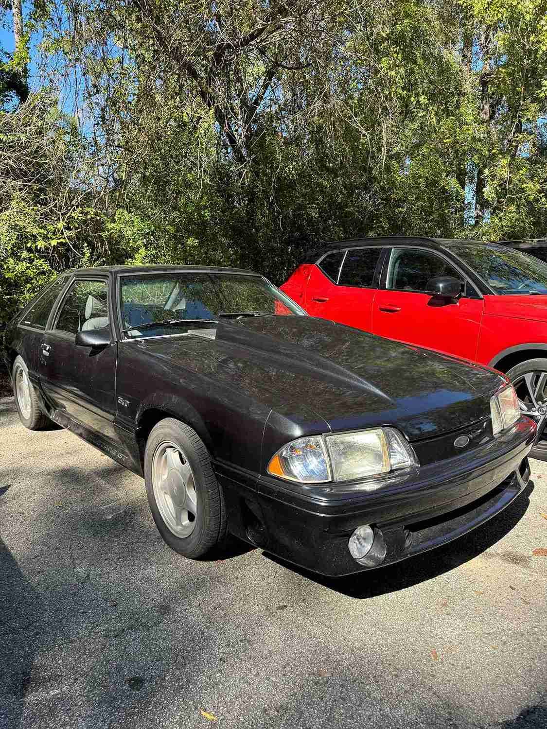 Black coupe parked beside a red car on a gravel drive under trees.