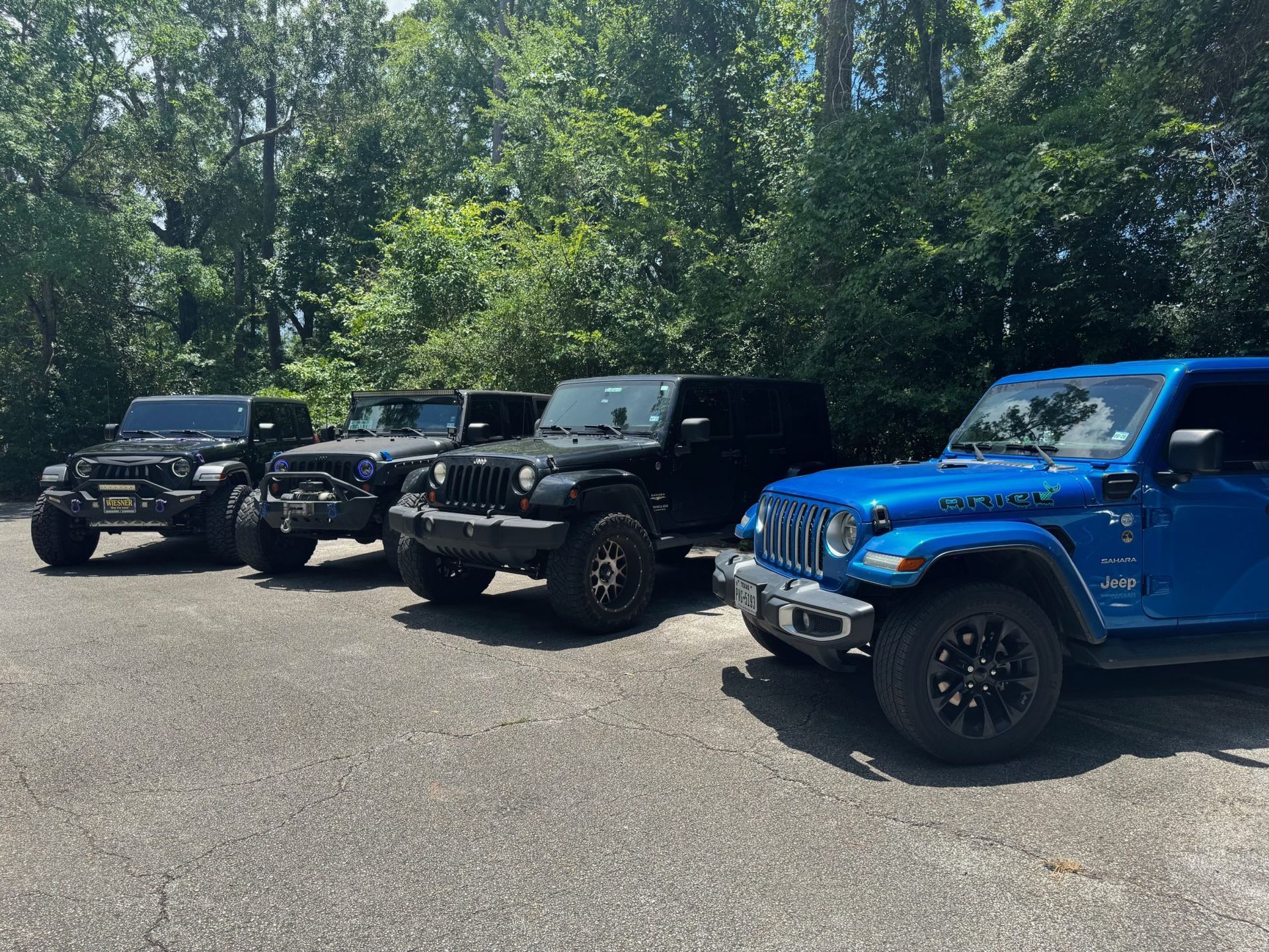 Four Jeeps parked in a row on a sunny road beside a wooded area