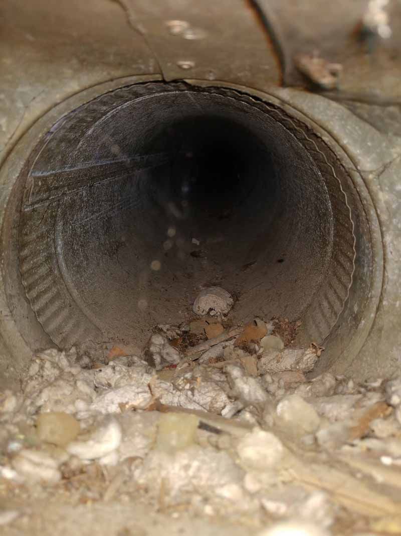 A close-up view inside a round metal pipe with debris buildup at the bottom.