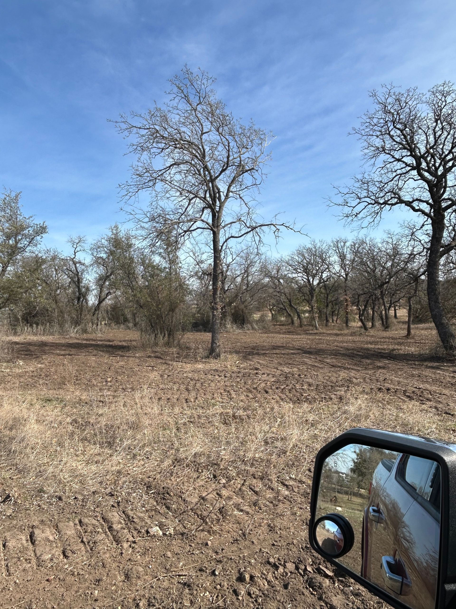 A view from a vehicle side mirror looking out over a dry, brown field dotted with bare trees under a bright blue sky.