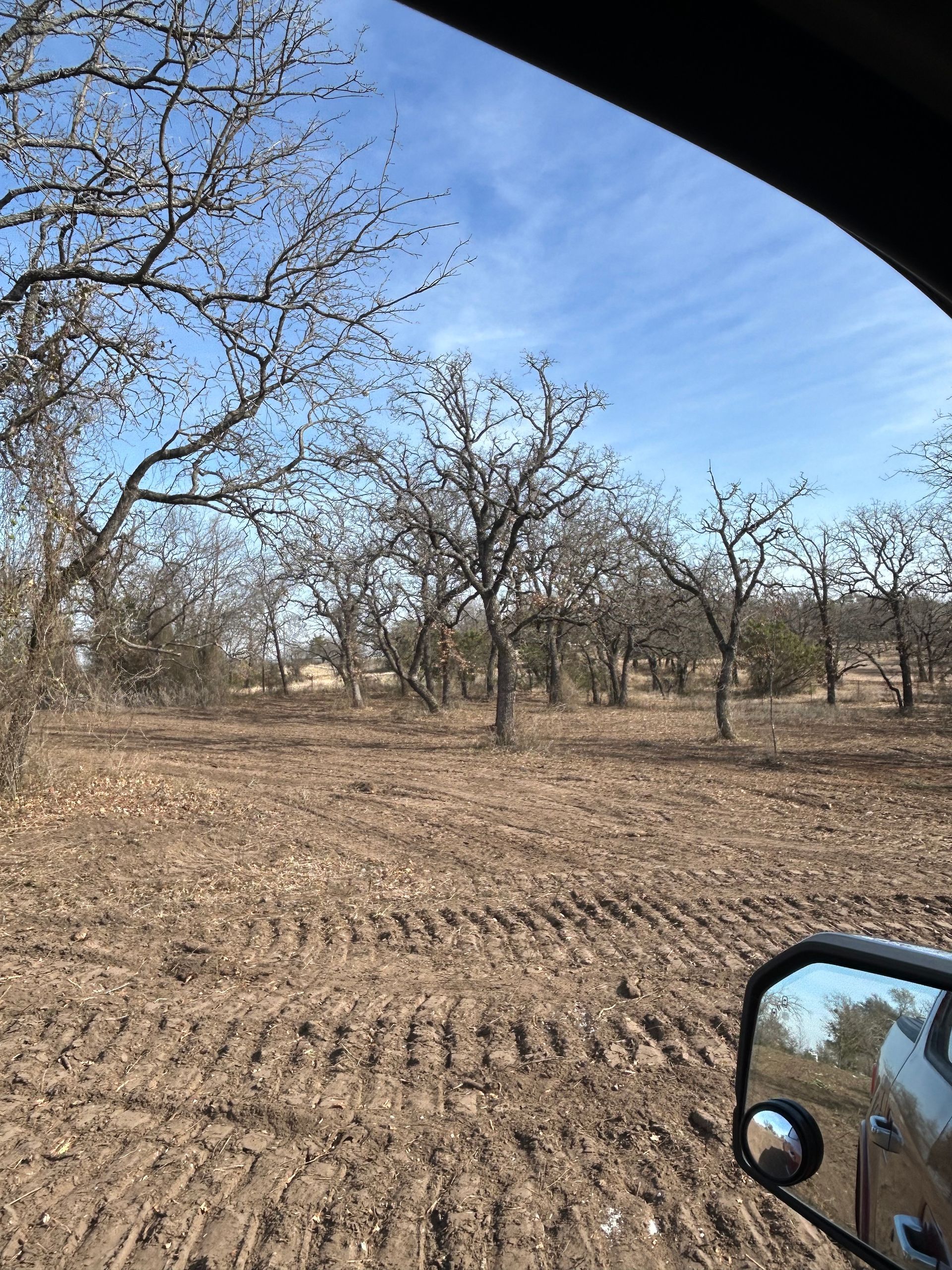 A dirt field with bare trees seen from inside a vehicle, featuring a side mirror in the corner under a blue sky.
