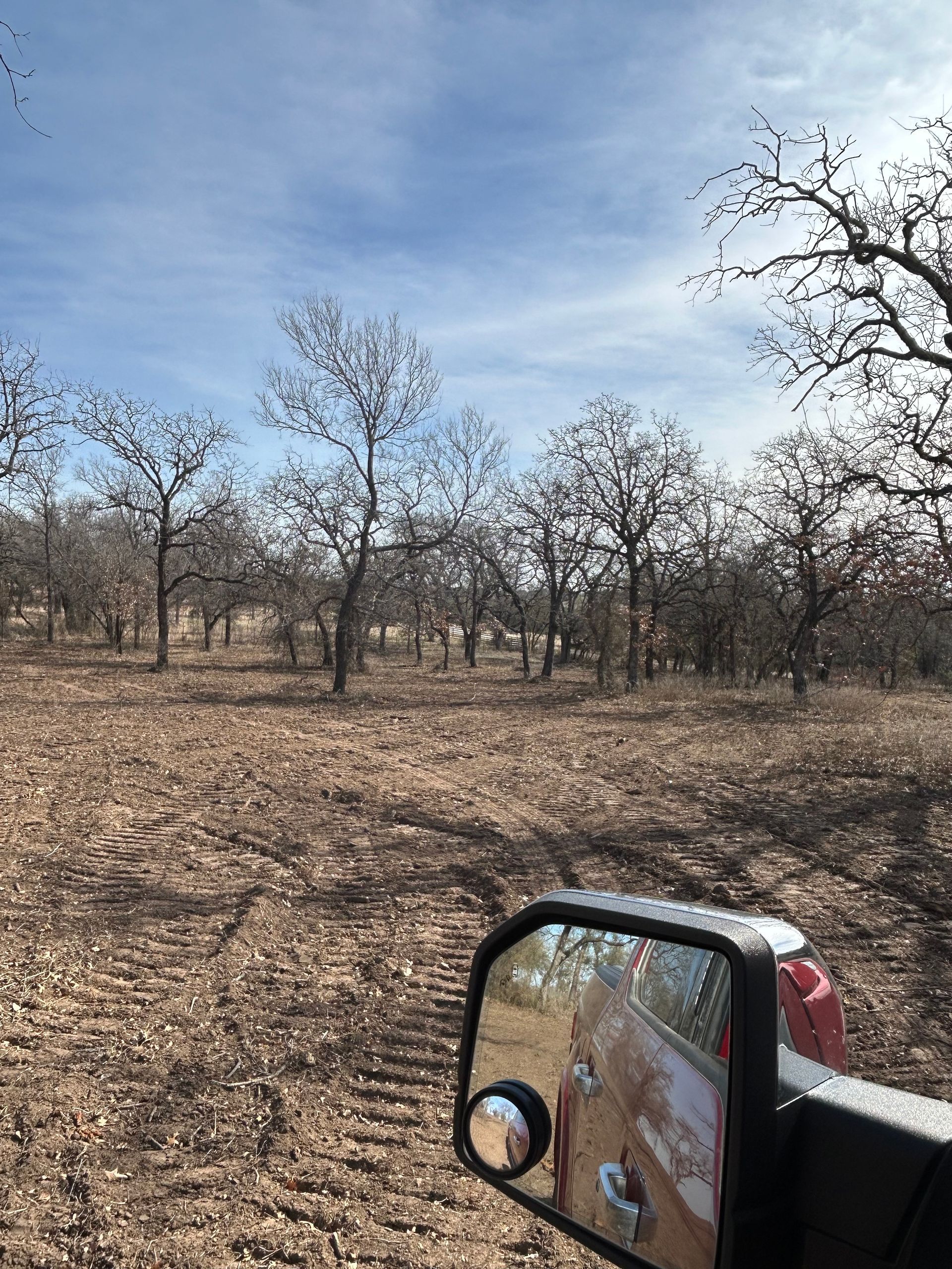 A view from a vehicle side mirror showing a sparse, deciduous woodland with brown, leaf-covered ground under a blue sky.