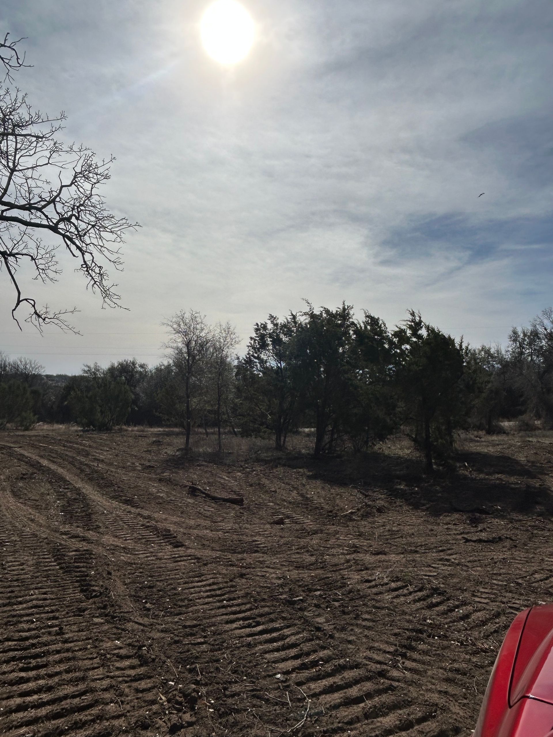 A sunny, open field with tire tracks in the dirt, surrounded by trees and shrubs under a bright sky.