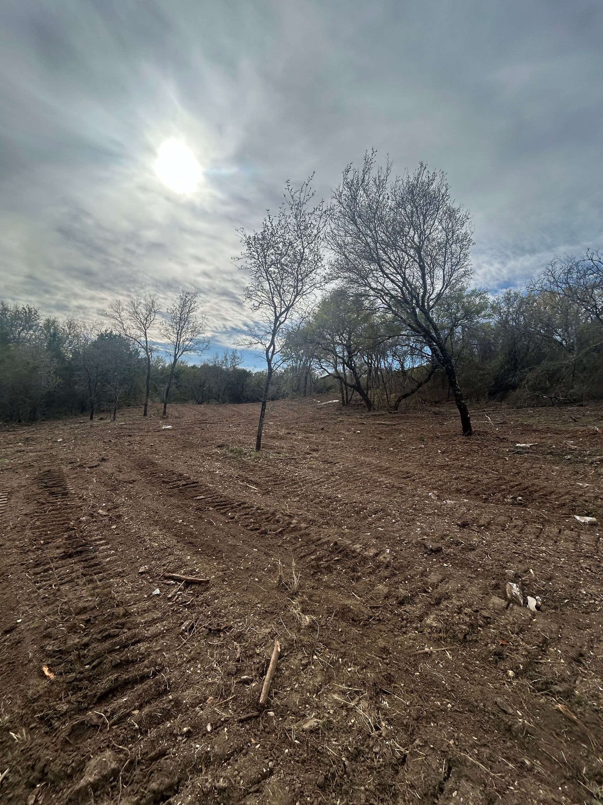 A clearing with scattered trees, churned earth, and tire tracks under a cloudy sky with the sun visible.