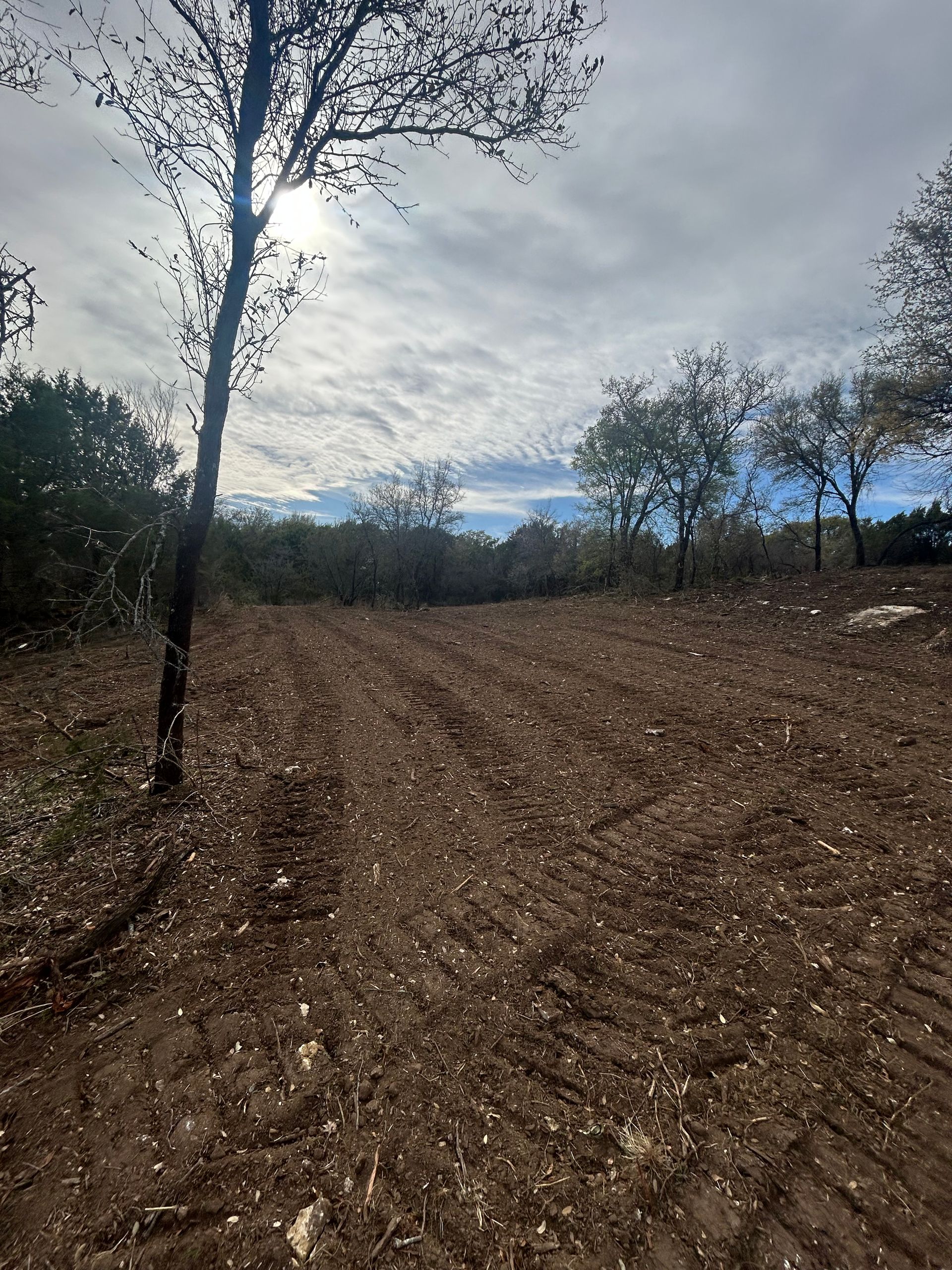 A cleared, brown, dirt field under a cloudy sky with trees lining the horizon and a single tree in the left foreground.