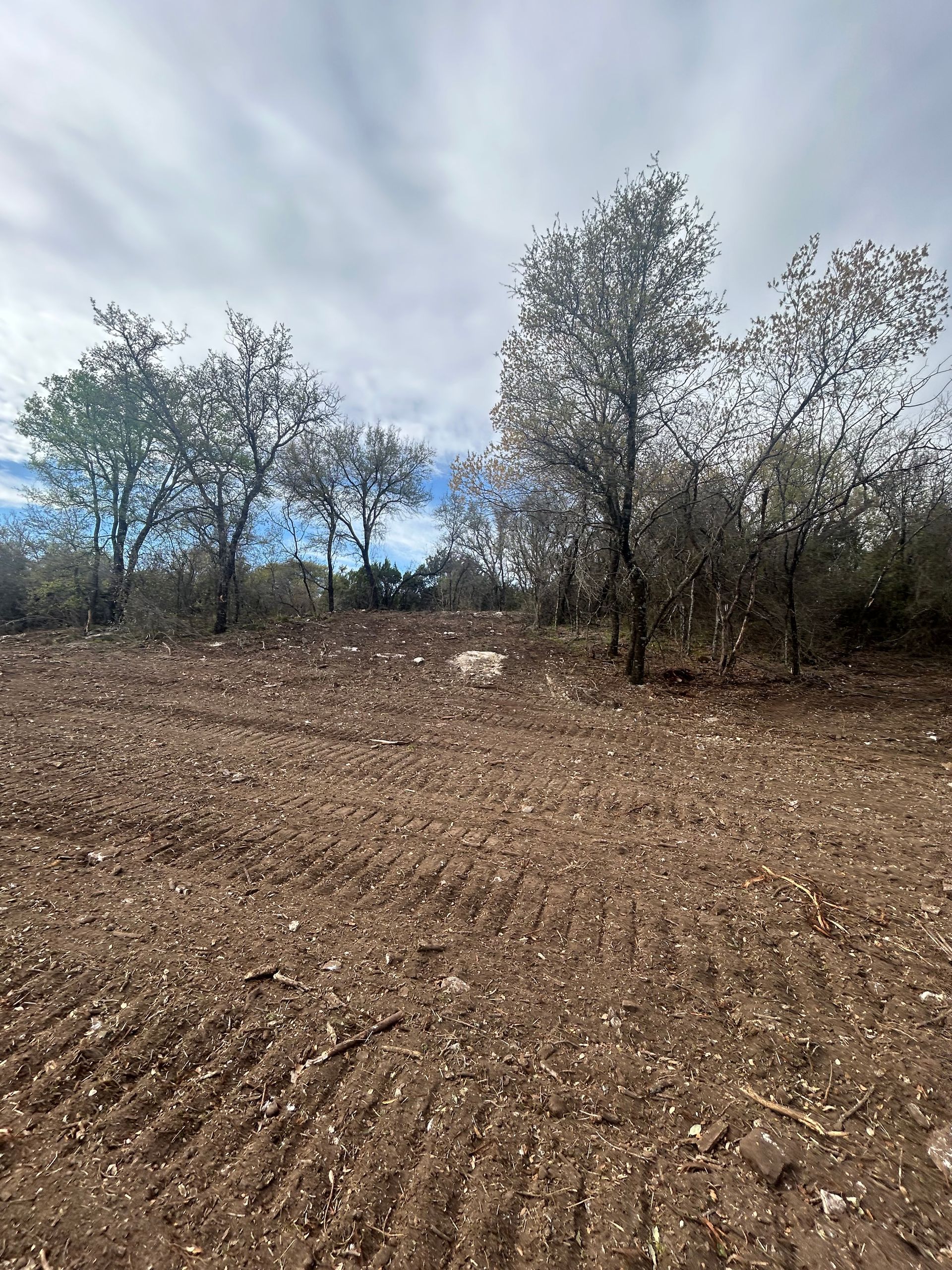 A cleared, rocky dirt field with visible tire tracks, backed by a row of scattered trees under a cloudy sky.