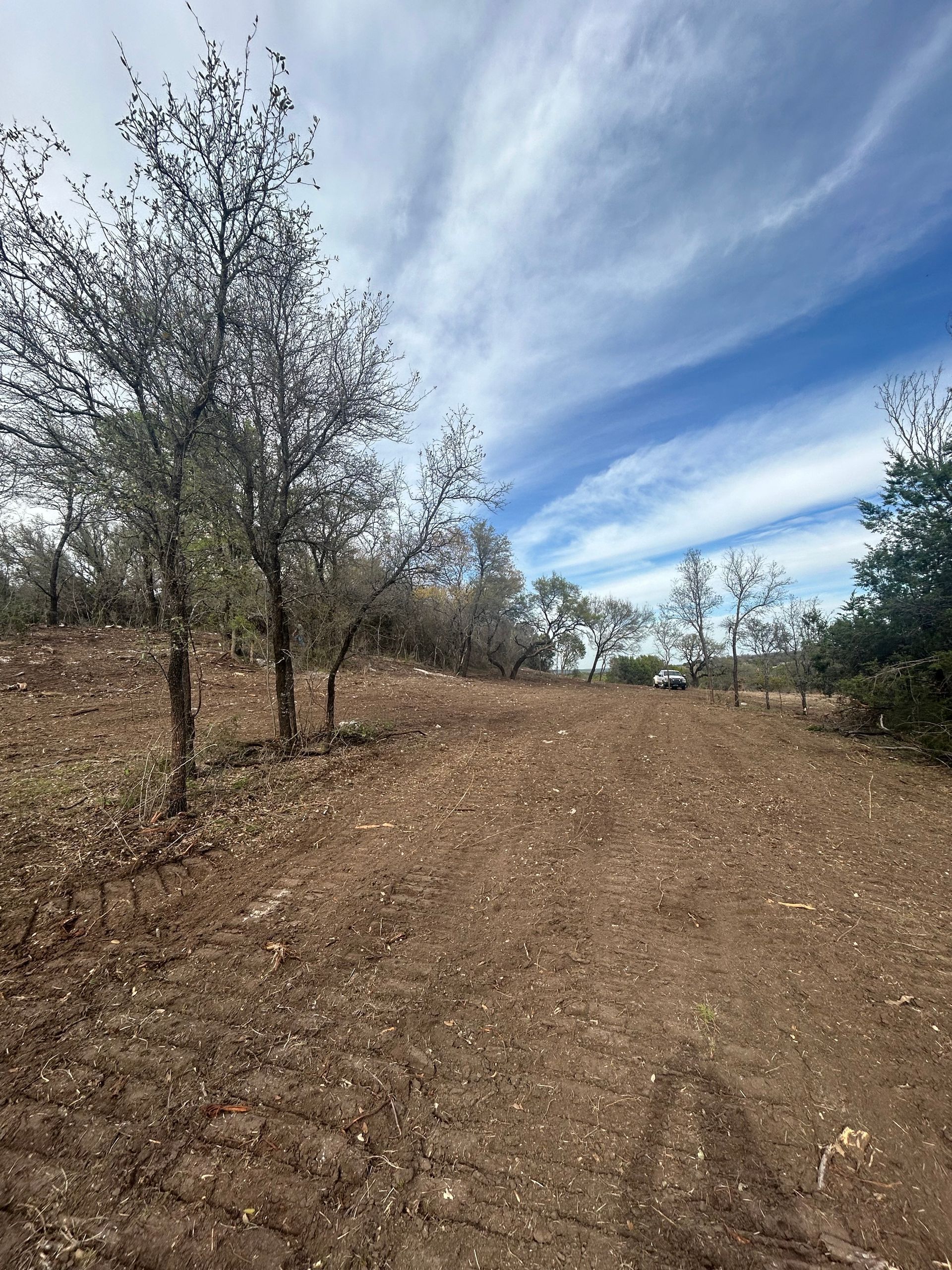 A cleared dirt slope with sparse trees under a blue, cloudy sky on a sunny day.