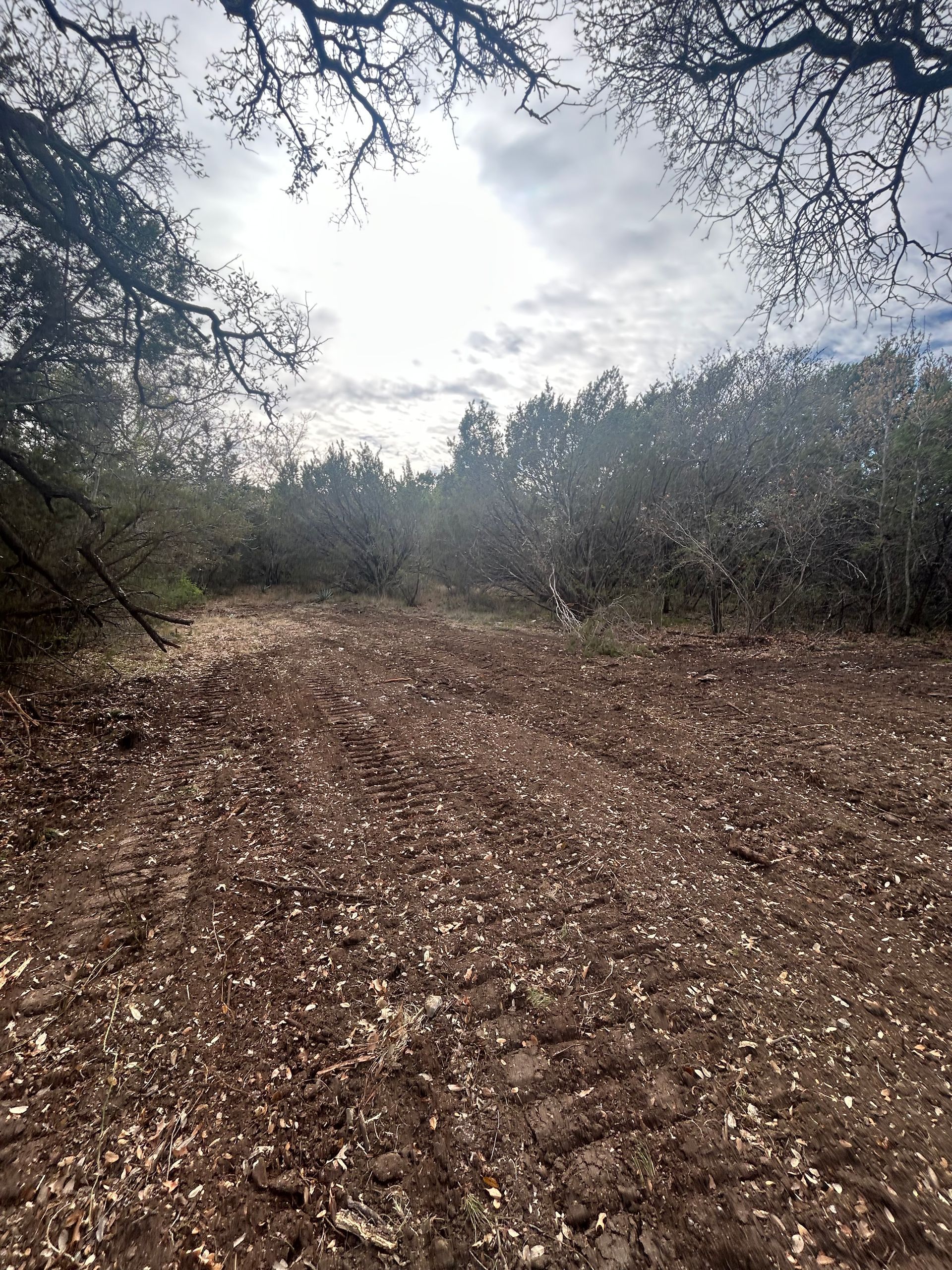 A cleared path of dirt and wood chips leads into a thick forest of oak trees under a bright, cloudy sky.