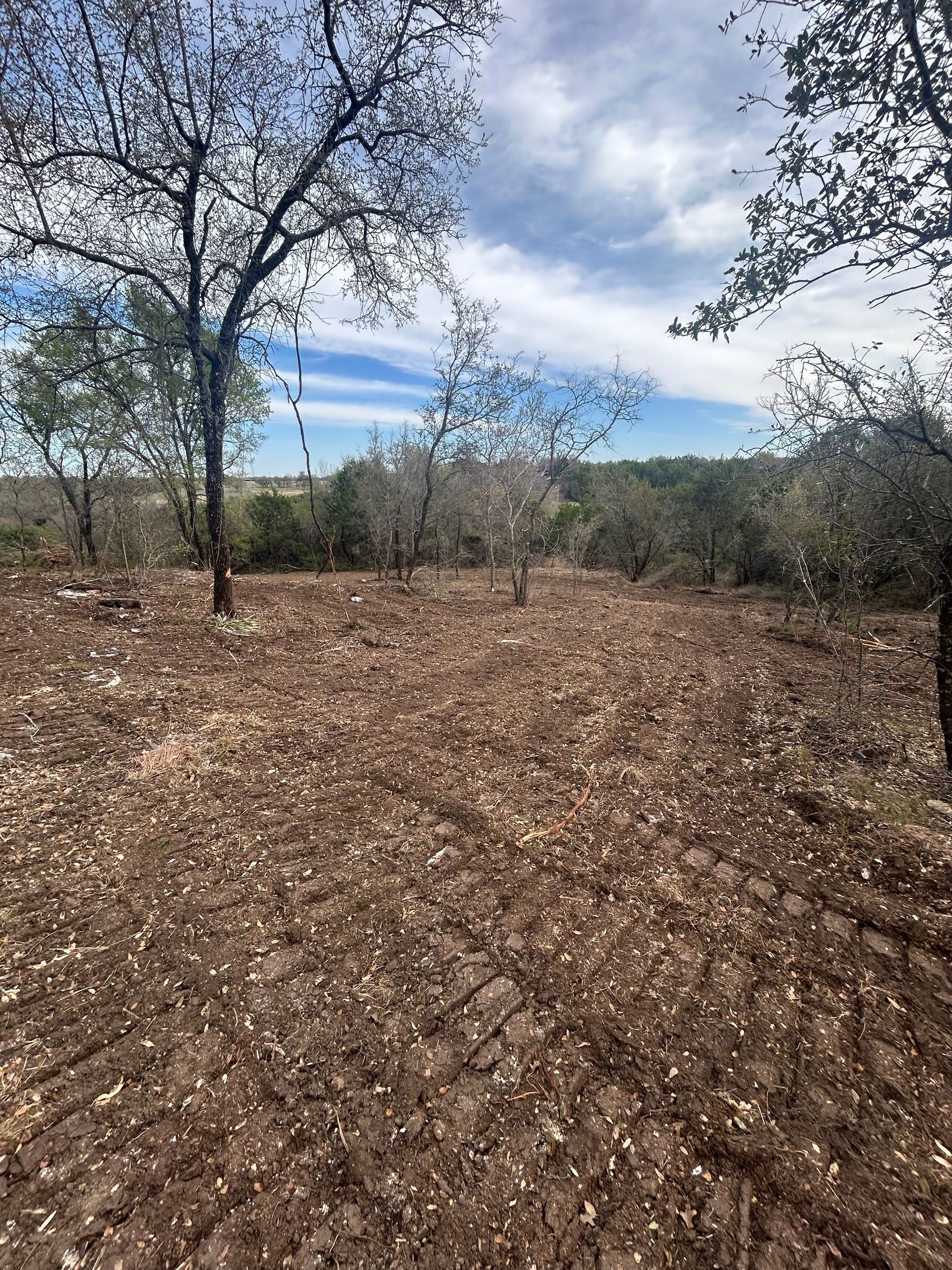 A clearing in a wooded area with cleared brush, bare earth, and tire tracks under a blue, cloudy sky.