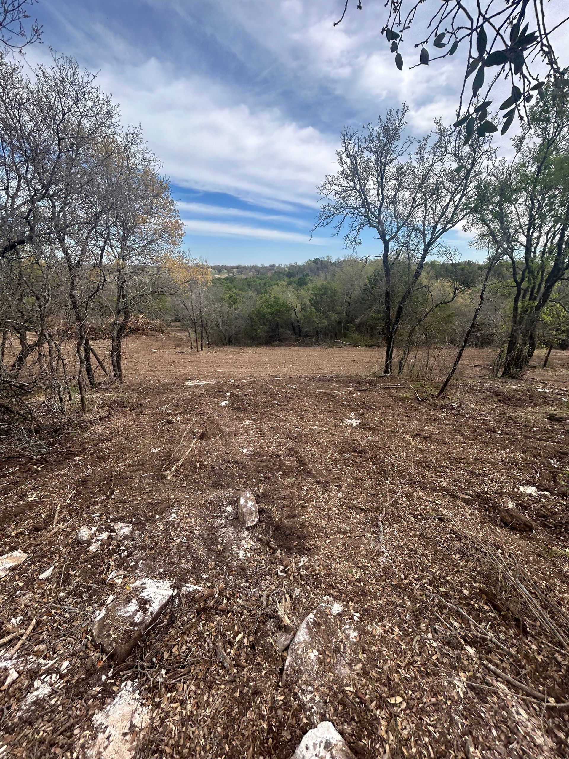 A dry, rocky field under a clear blue sky, framed by trees on both sides and a line of shrubs in the distance.