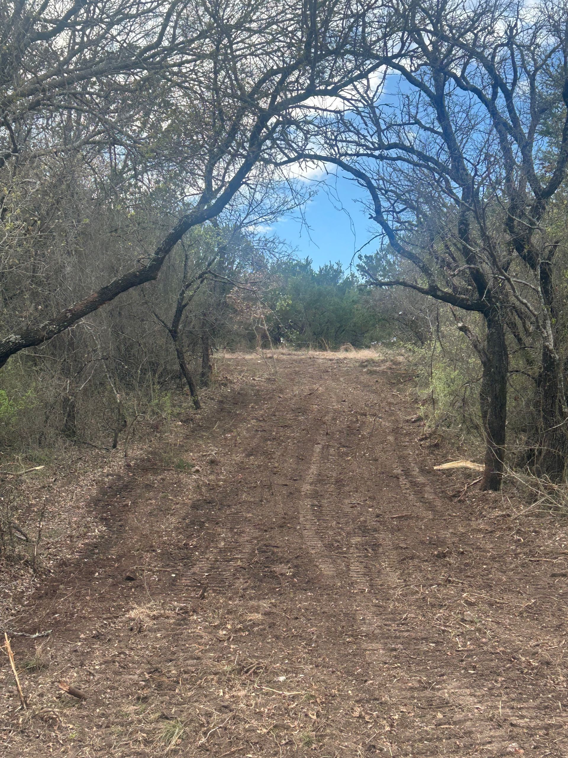 A dirt path framed by trees leads into a clearing under a blue sky with soft, scattered clouds.