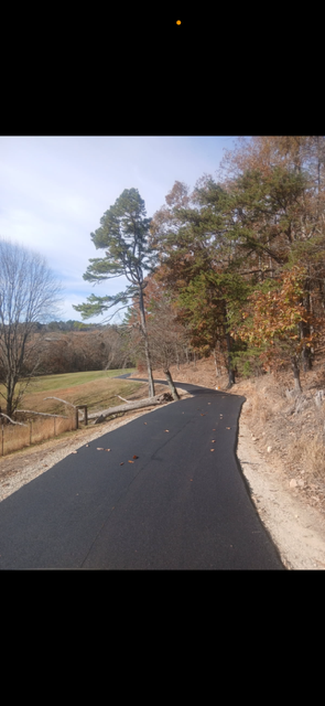 Black asphalt road winds through a forested landscape on a sunny day.