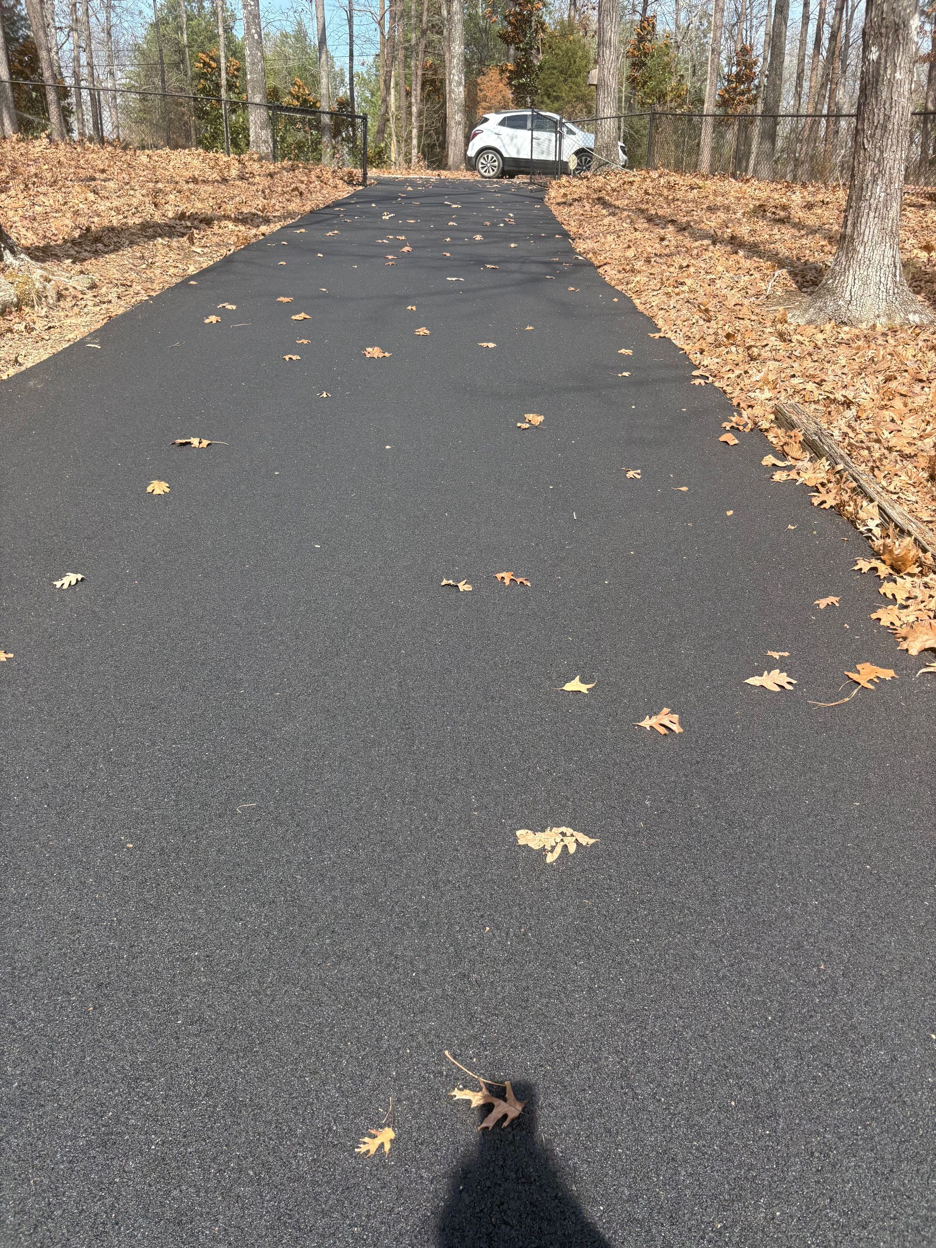 Black asphalt driveway with scattered leaves, leading to a white car parked in a wooded area.