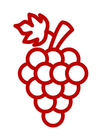 Red outline of a grape cluster with leaf and stem on a white background