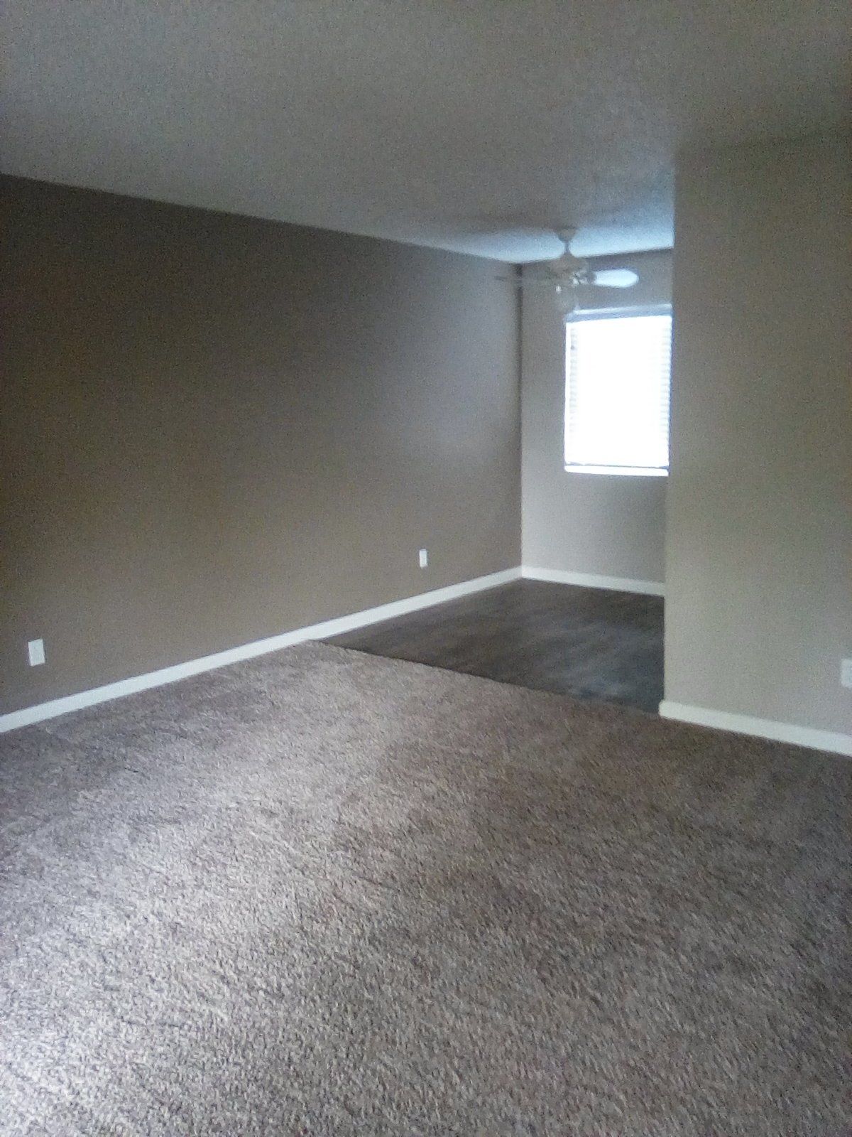 Sutter Oaks interior