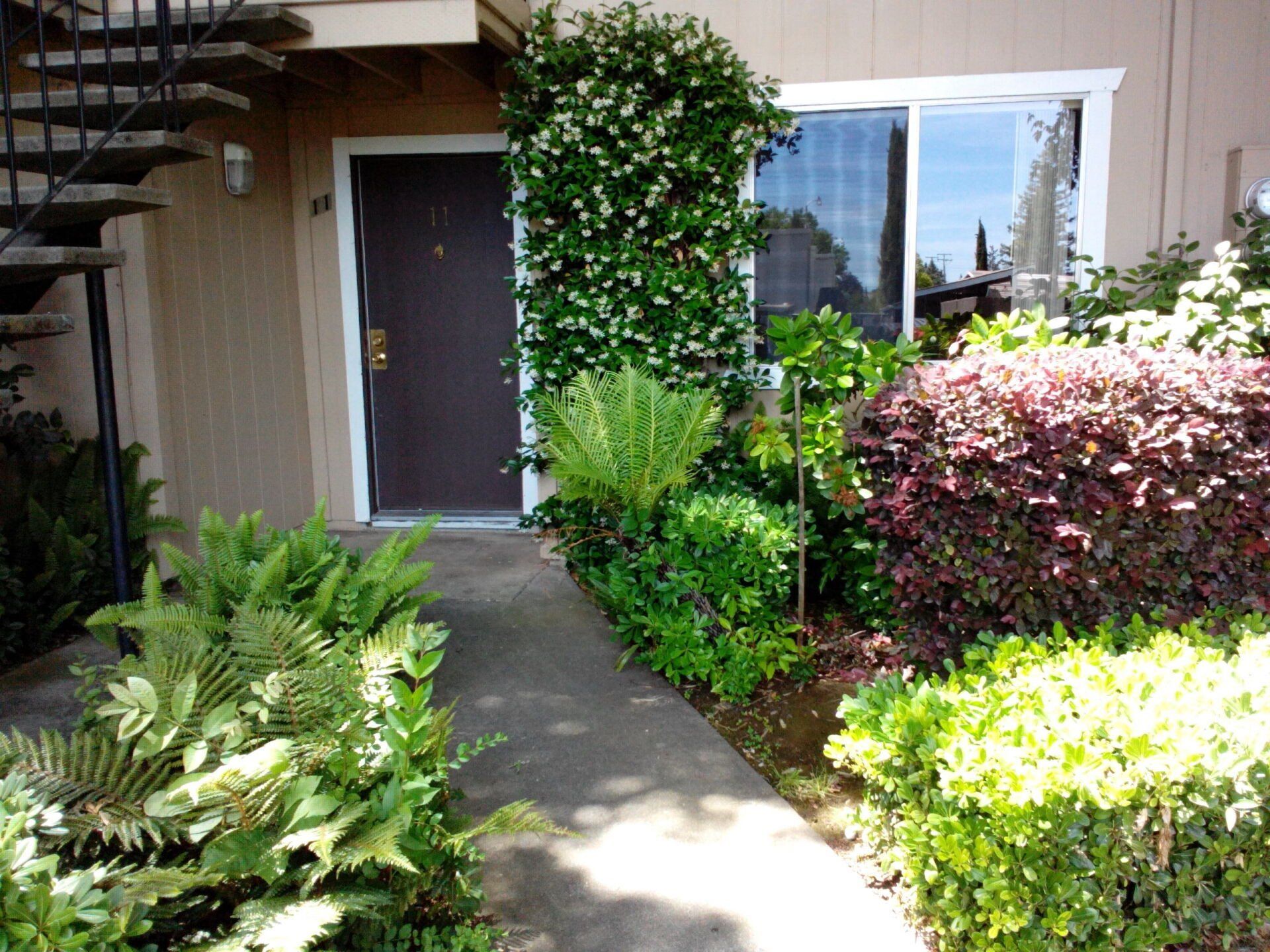 Sutter Oaks exterior