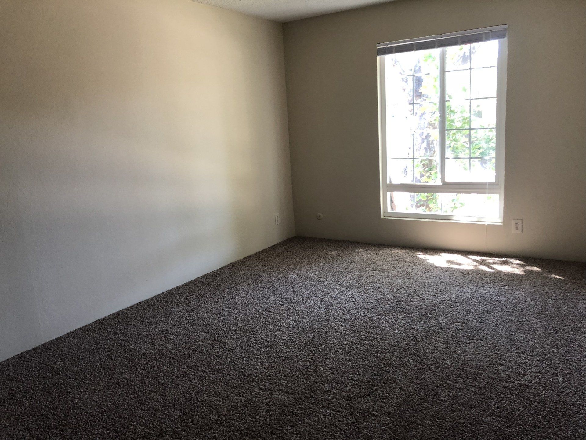 Oak Creek interior