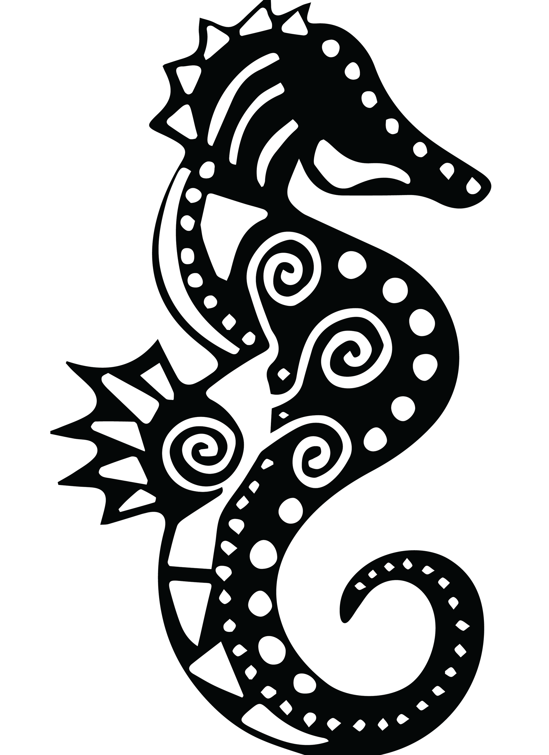 ngeebril seadragon consultancy pty ltd-logo
