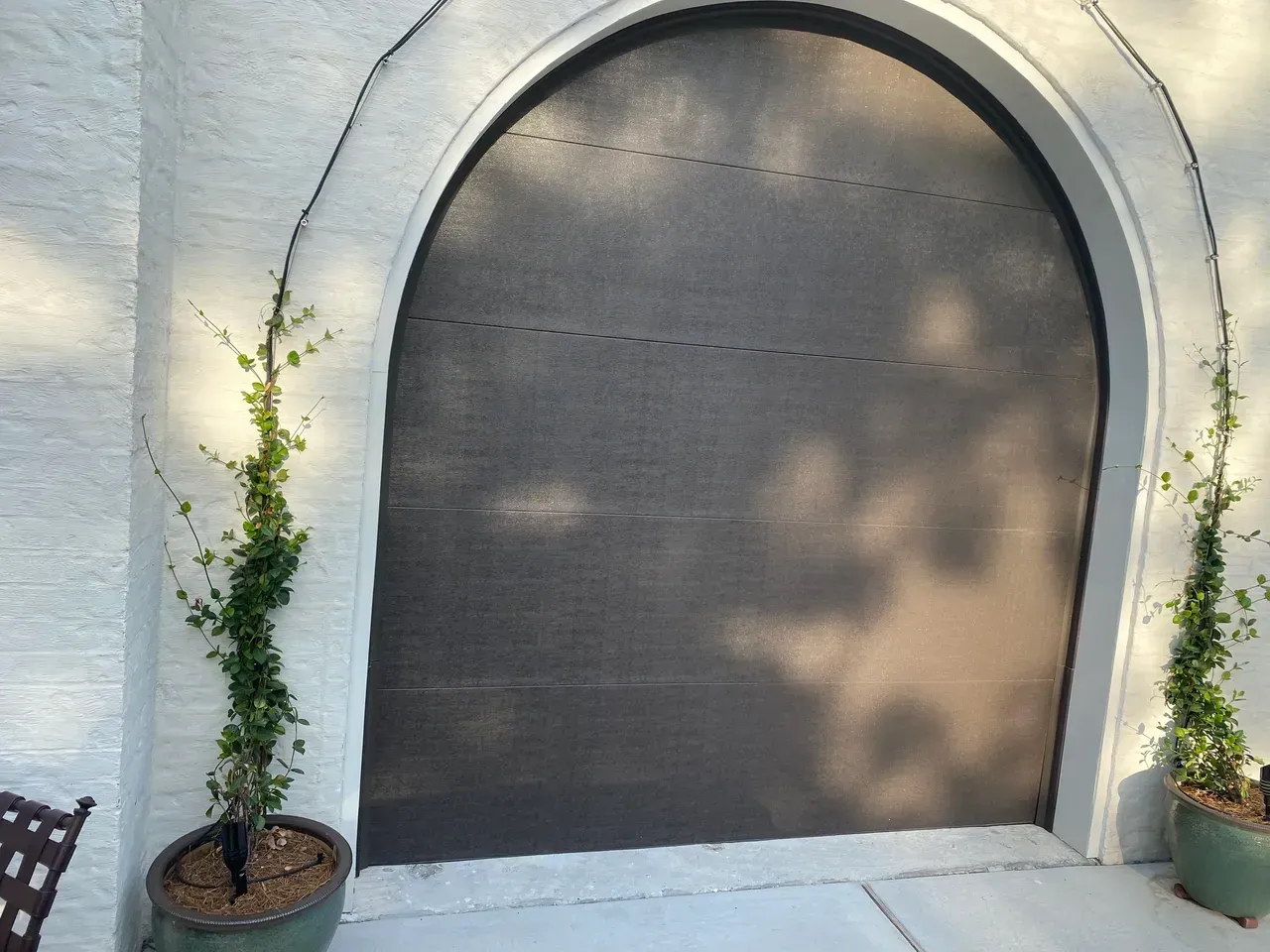 Arched dark door with climbing plants on a white stucco wall. Potted plants flank the door.