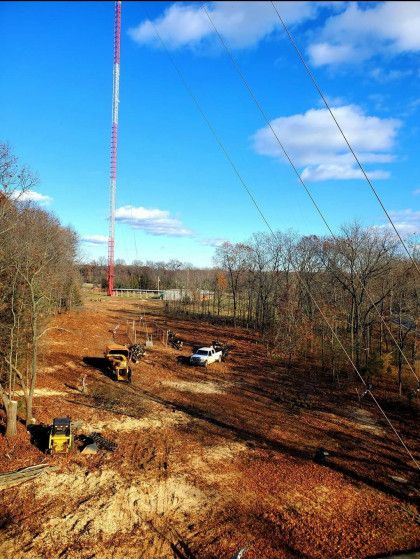 Tree Trimming & Stump Grinding | Shelbyville, MI | Dan's Tree Service