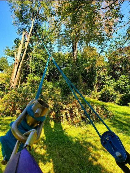 Tree Trimming & Stump Grinding | Shelbyville, MI | Dan's Tree Service