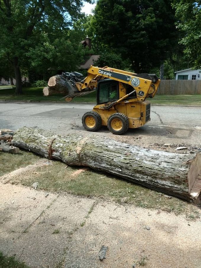 Mini Truck Cutting Trees