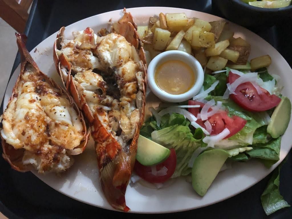Lobster in season
