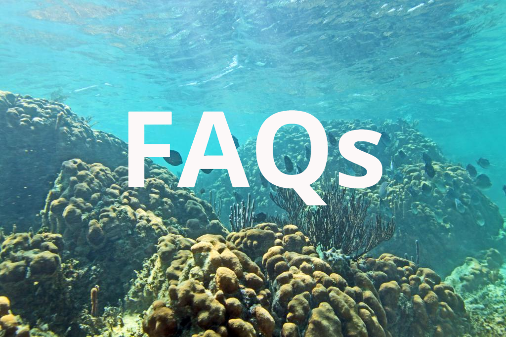 Frequently asked questions