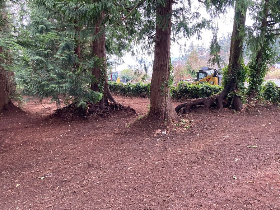 Land Clearing Machinery Whidbey Island