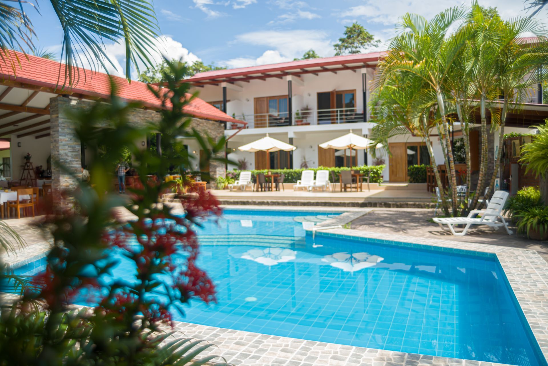 Hotel con piscina, edificio blanco, techo rojo, sombrillas, sillas y plantas tropicales bajo un cielo azul.