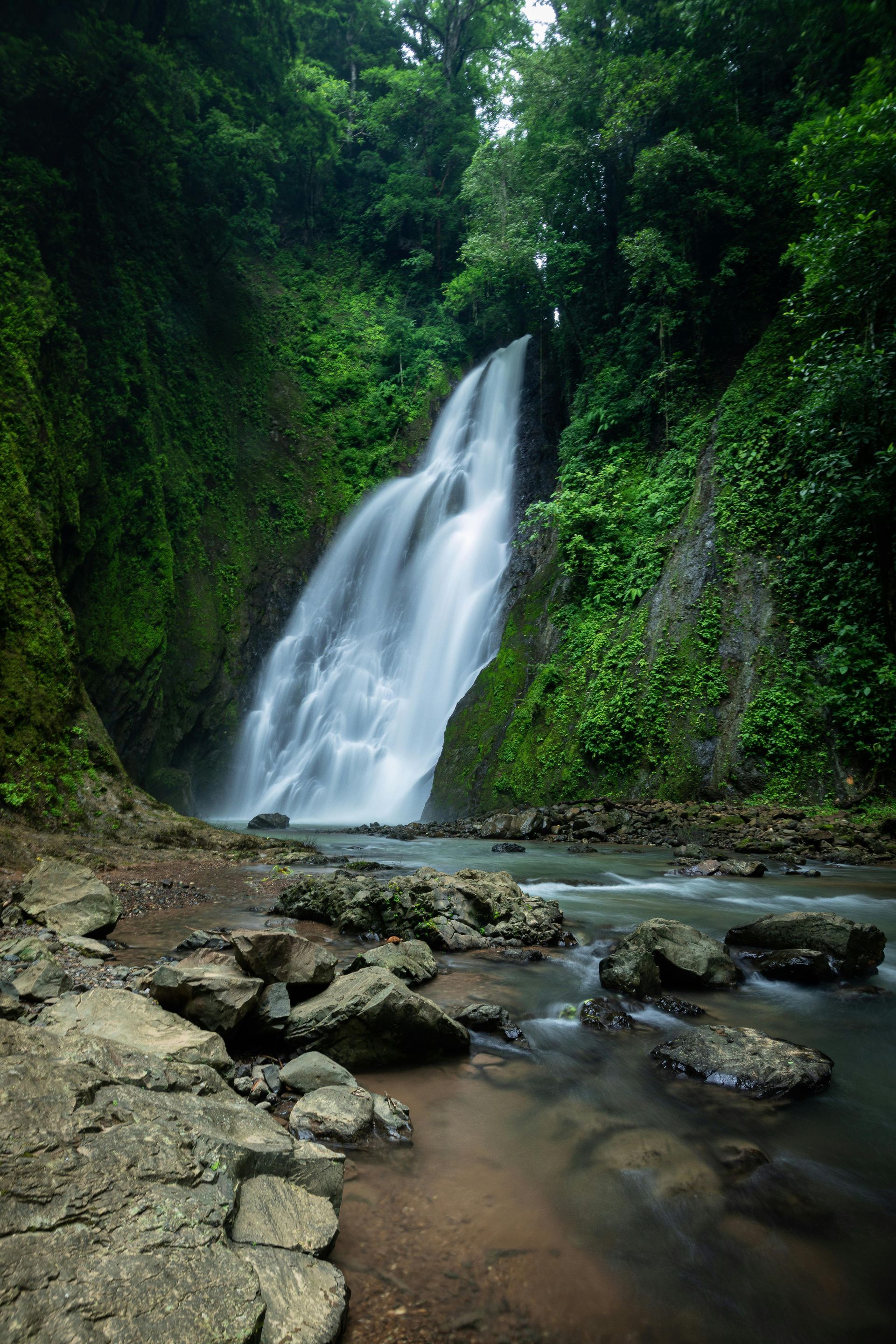 Cascada que cae por un exuberante acantilado verde hacia un río rocoso.