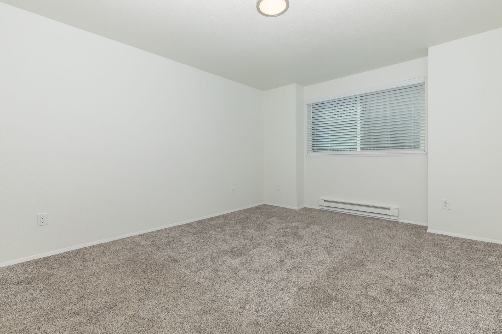 An empty bedroom with a window and a carpeted floor.