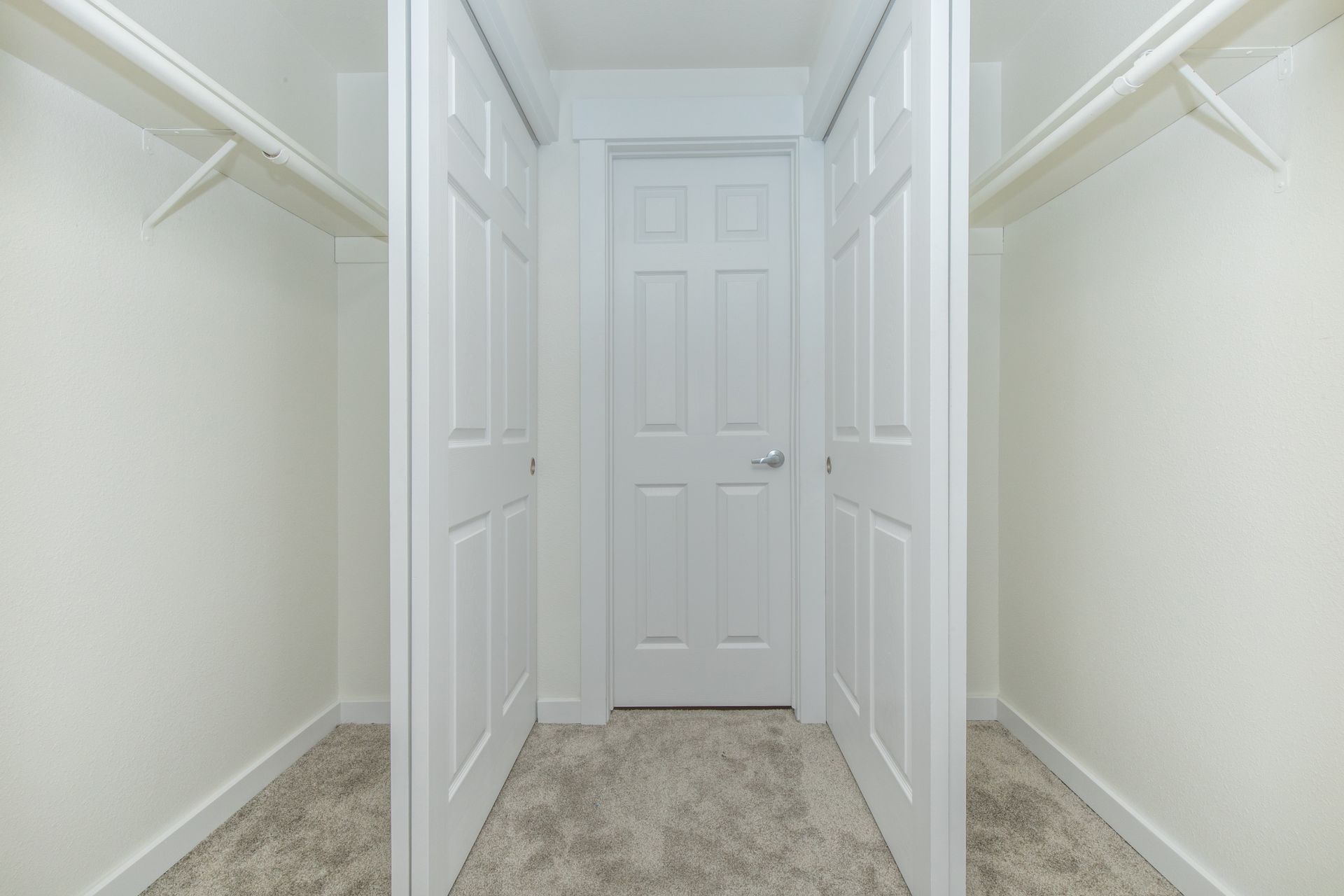 A walk in closet with white doors and a carpeted floor.