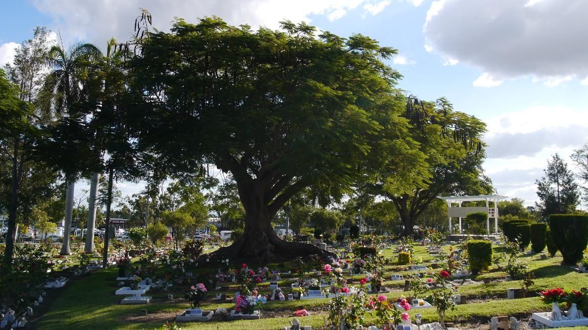 Cemetery with A Large Tree, Headstones, and Flowers Under a Blue Sky with Clouds — Rockhampton Crematorium in Norman Gardens, QLD