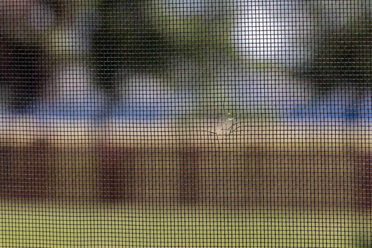 View through a screen door: blurred outdoor scene with greenery and blue, overlaid by a grid pattern.
