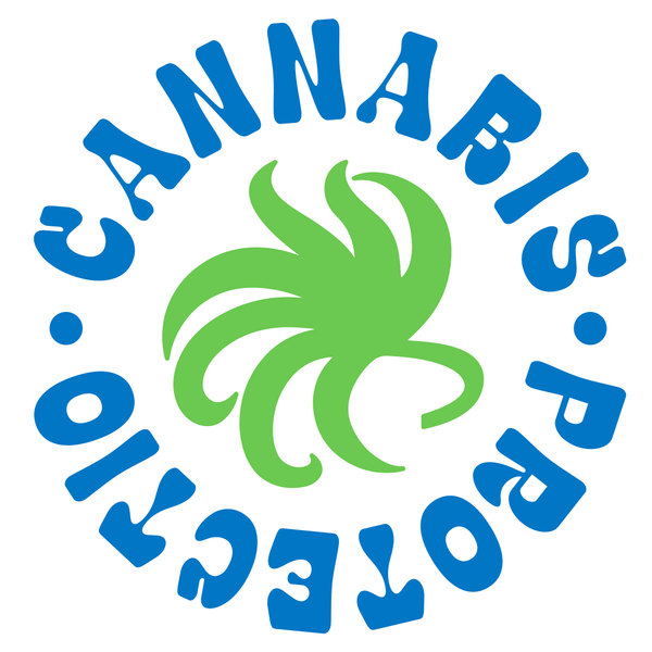 Vez! top CBD di Bolo
