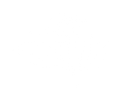 A line drawing of a single native wildflower on a transparent background