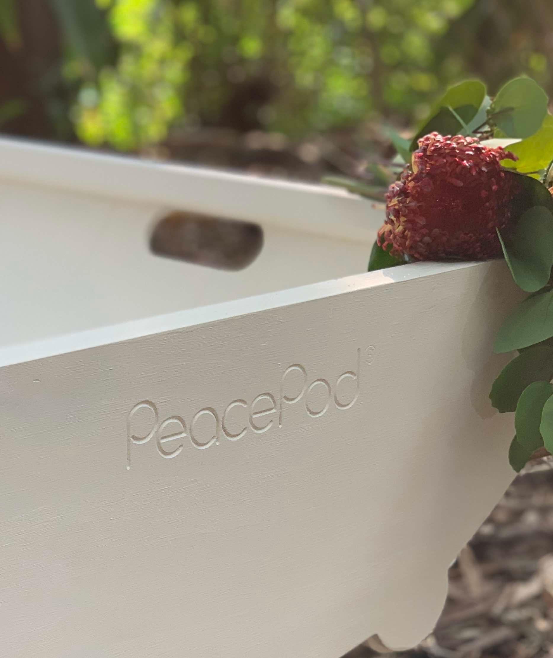 A closeup of a natural PeacePod shroud carriage with Australian native flowers sitting on the top corner of the white tray.