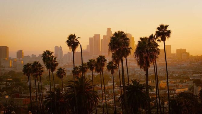 There are palm trees in the foreground and a city skyline in the background.