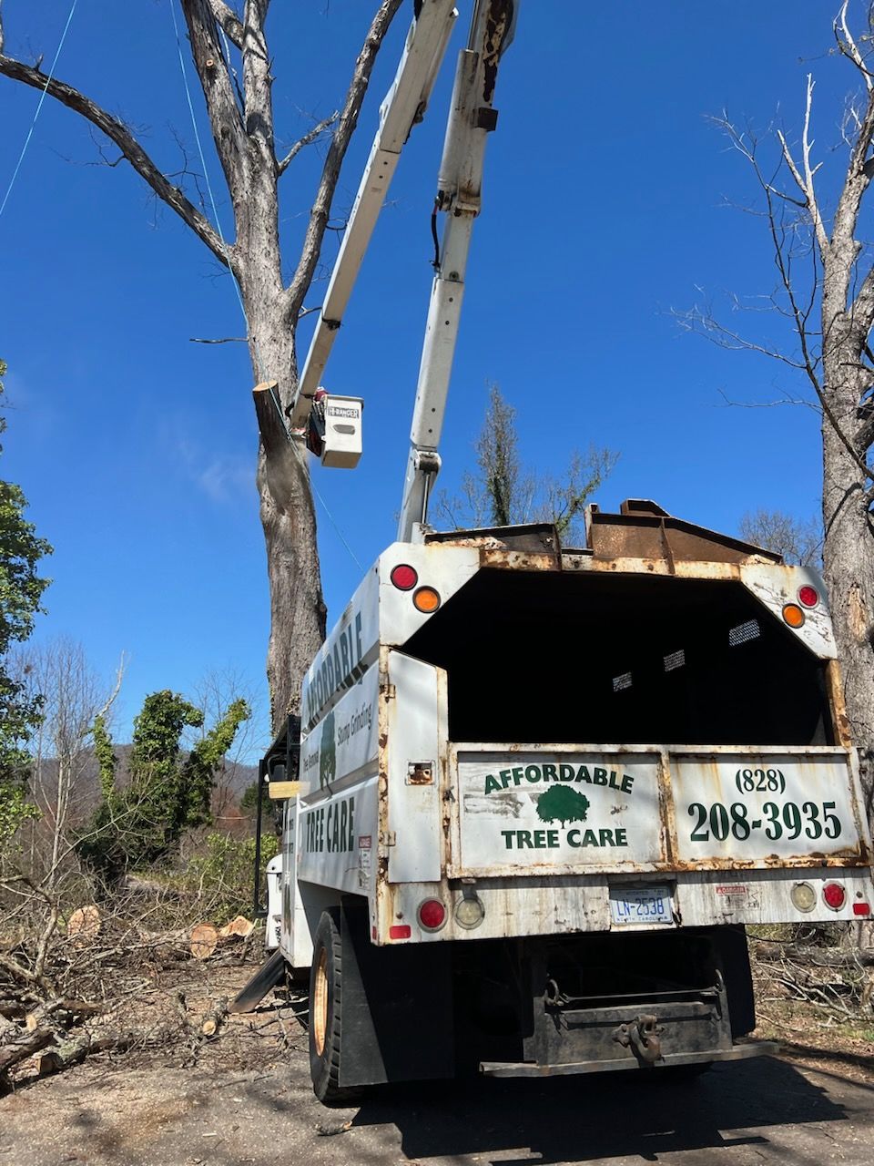 Bucket Truck Tree Removal Boone Blowing Rock Banner Elk Linville NC  