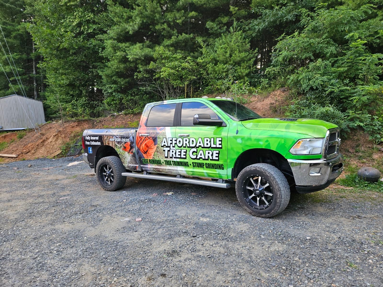 Affordable Tree Removal Boone Blowing Rock Banner Elk Linville NC
