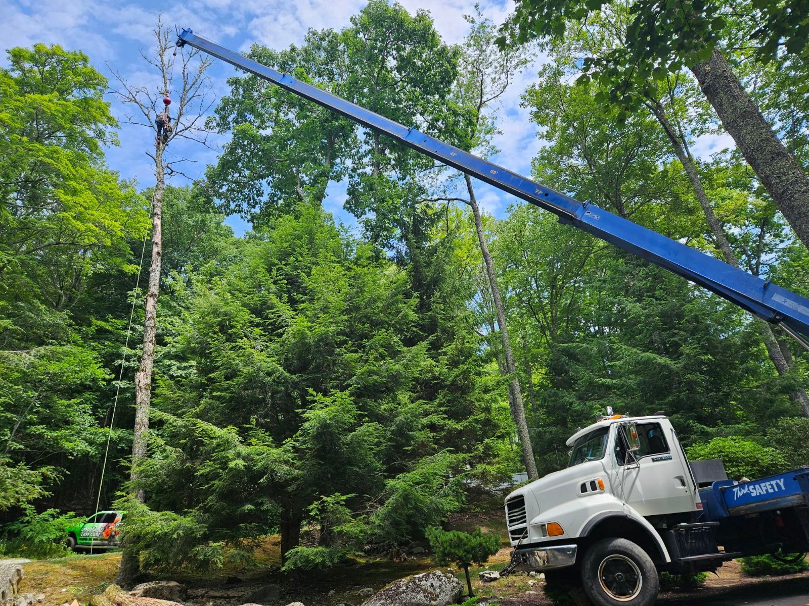 Crane Tree Removal Boone Blowing Rock Banner Elk Linville NC
