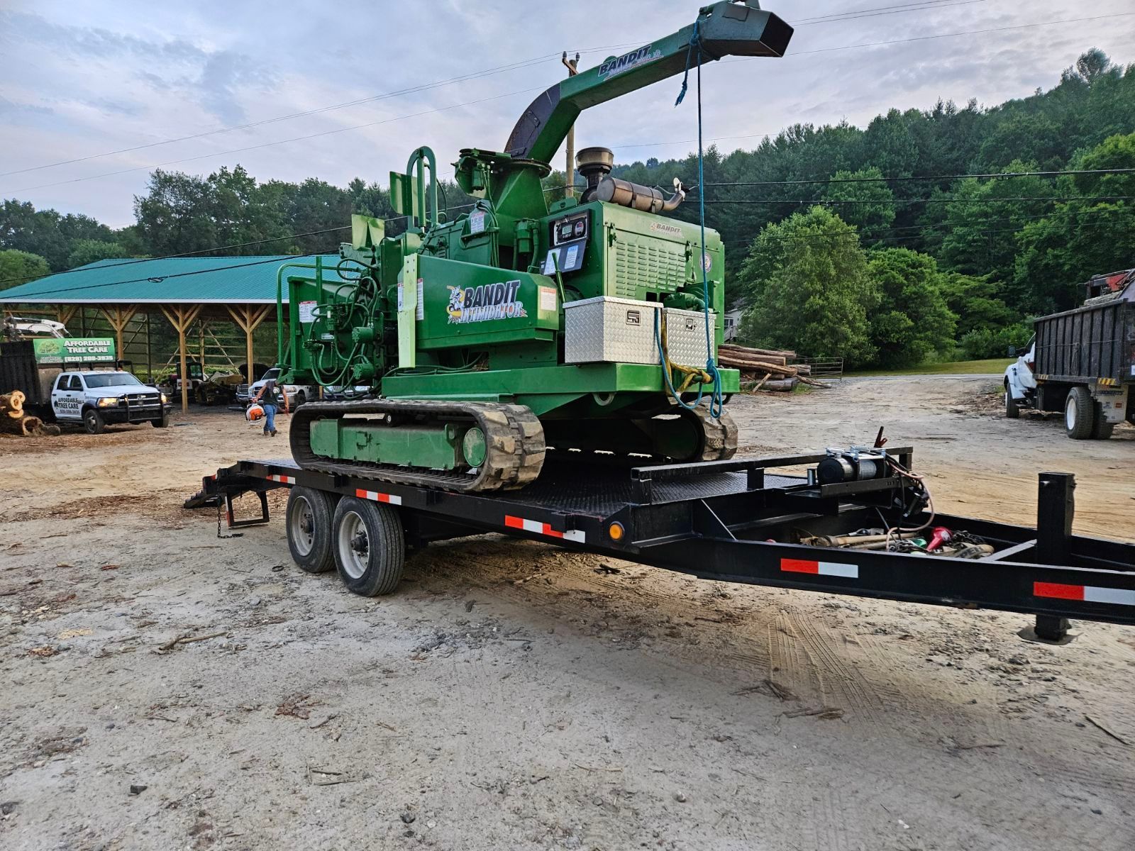 Tree Removal Boone Blowing Rock Banner Elk Linville NC