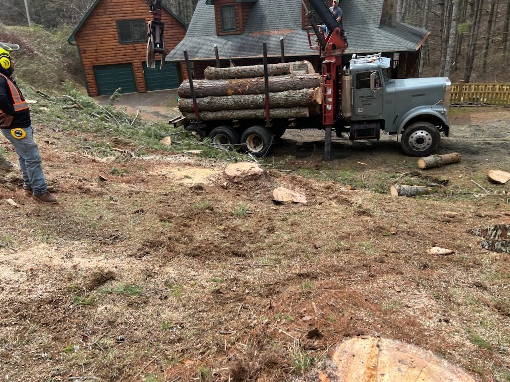 Lot Clearing Tree Removal Boone Blowing Rock Banner Elk Linville NC