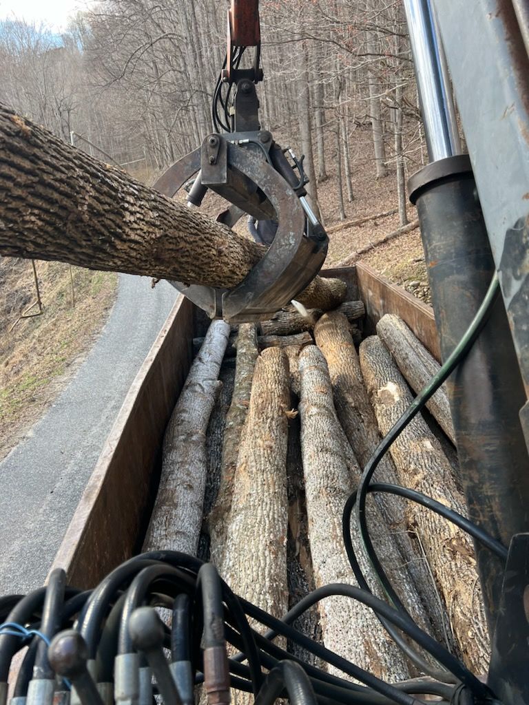 Land Clearning Tree Removal Boone Blowing Rock Banner Elk Linville NC  
